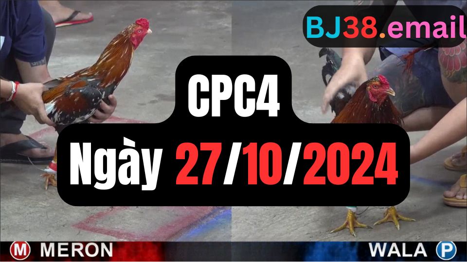 Full đá gà thomo CPC4 27-10-2024